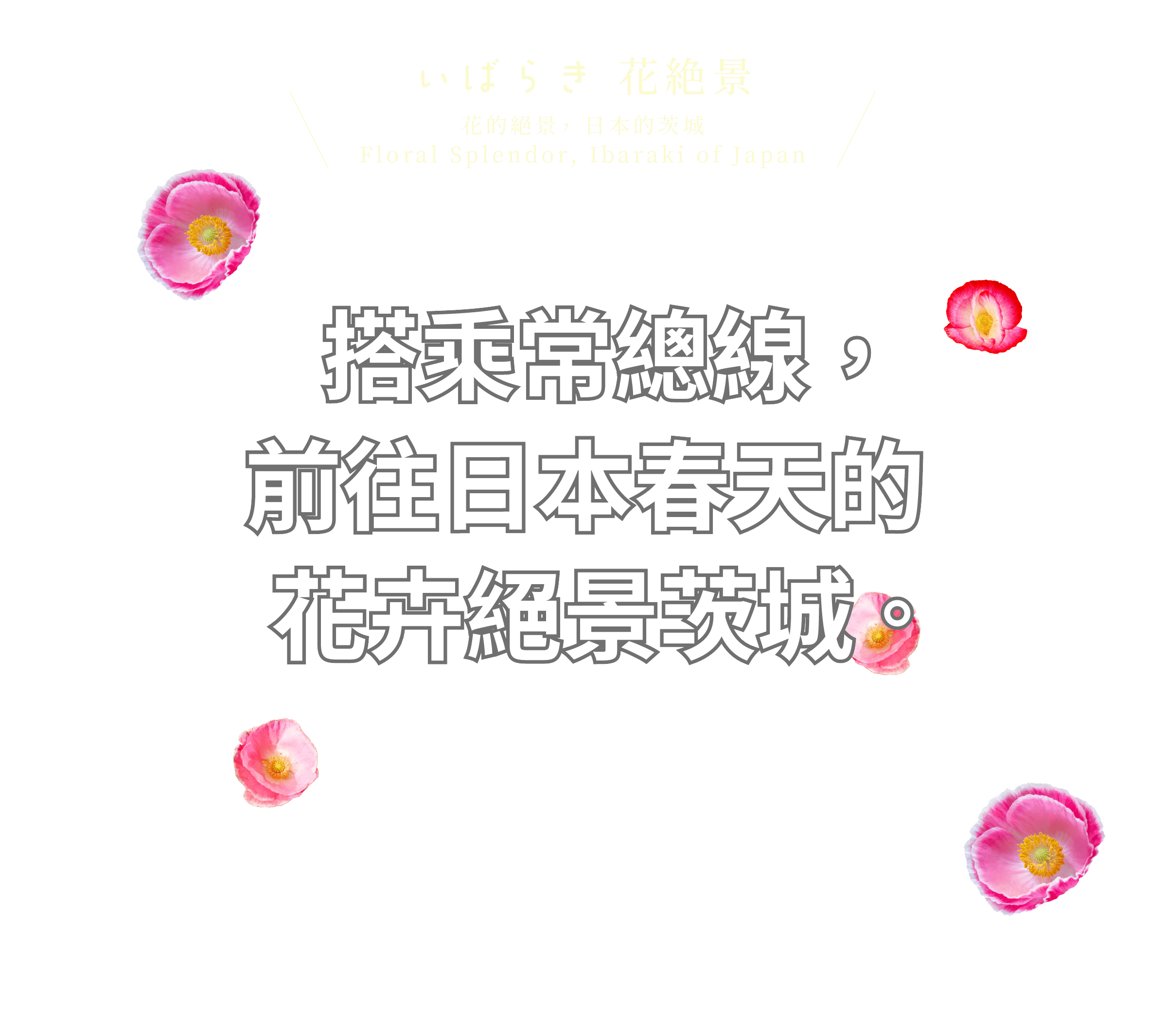 いばらき花絶景!常磐線で行く花絶景わくわく旅